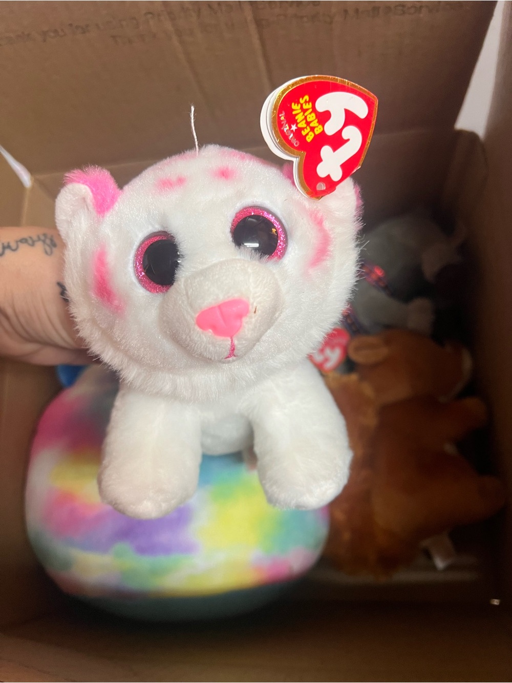 TY Beanie Boo Plush - White with Pink Accents